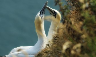 Pretežno sunčano i toplo, do 35 stepeni