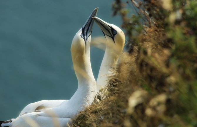 Pretežno sunčano i toplo, do 35 stepeni