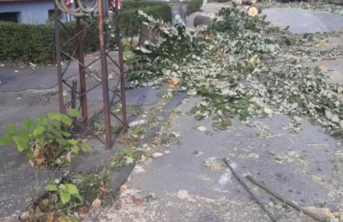 URA: Sječa lipa u Pljevljima odraz nemarnosti i nebrige prema prirodi i građanima