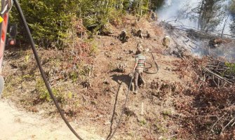 Brzom intervencijom vatrogasaca ugašen šumski požar u Mateševu