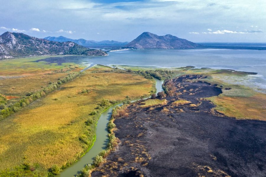 12006544537140265786073274089146789605986186o