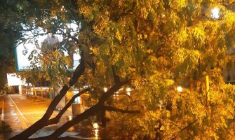 Za dan 14 intervencija: Poplave, polomljena stabla, požari...