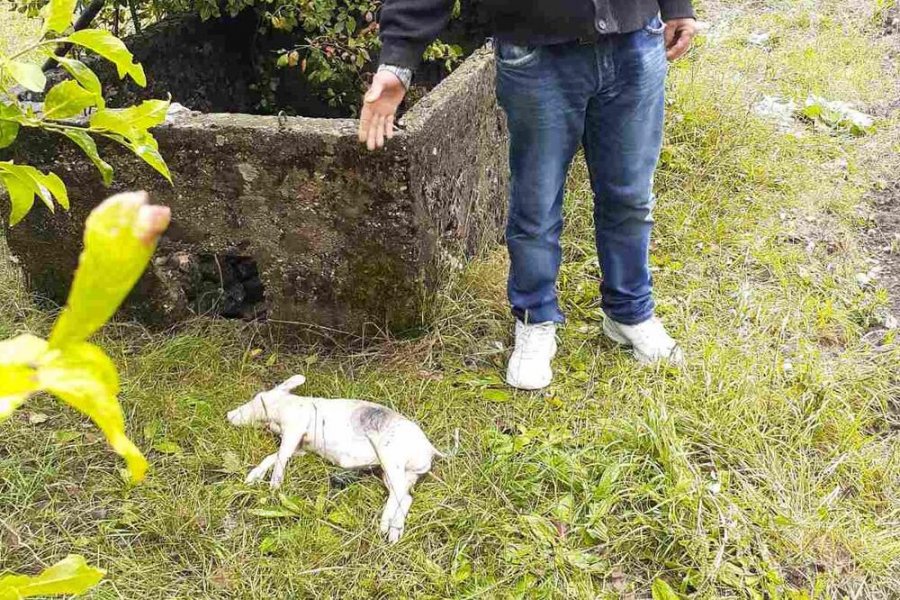 5253717viberslika20200927153348ls