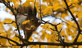 Promjenljivo oblačno, ponegdje kiša
