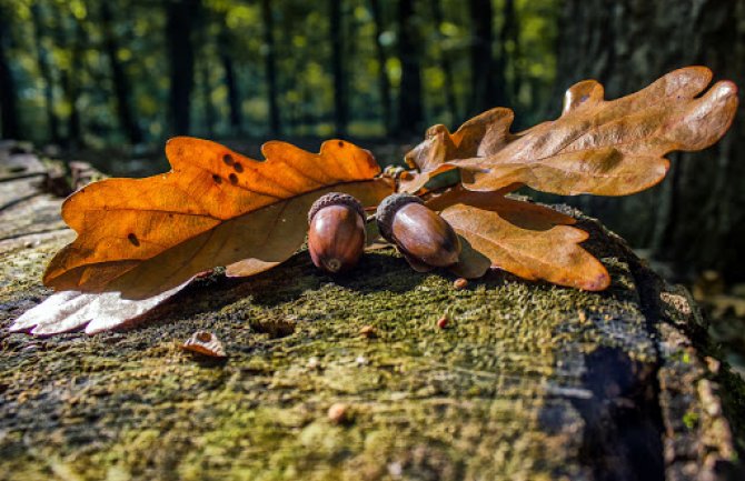 Promjenljivo oblačno sa sunčanim intervalima