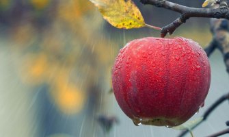 Kiša, pljuskovi i grmljavina, moguće i vremenske nepogode