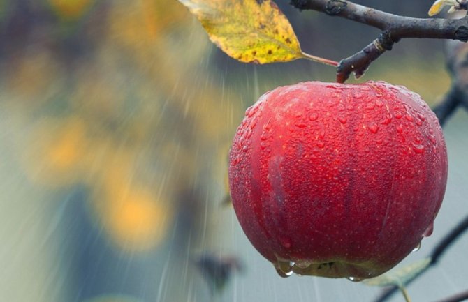 Kiša, pljuskovi i grmljavina, moguće i vremenske nepogode