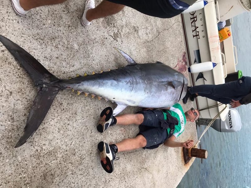 1212567123200550530070426666396040573550928n