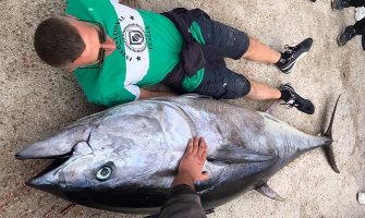 Budva: Miroslav ulovio tunu od 177 kg, dugu 210 cm!