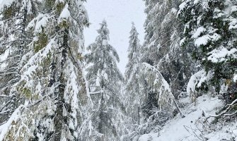 Snijeg izazvao probeleme u Sloveniji, saobraćaj obustavljen