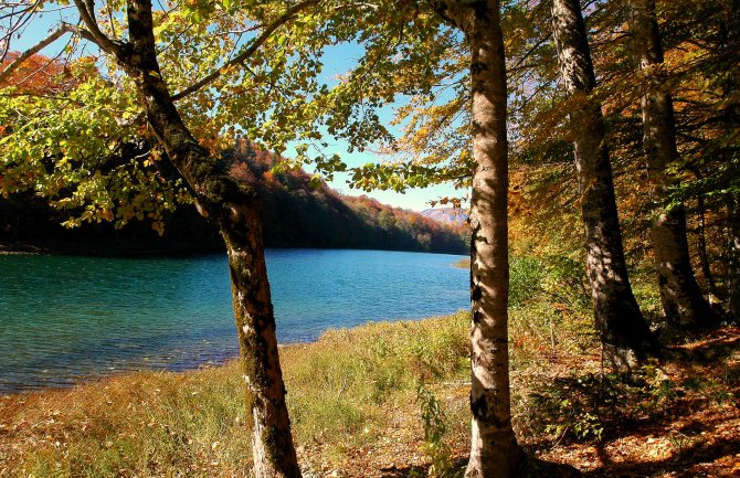 NP Biogradska gora otvorena za posjete