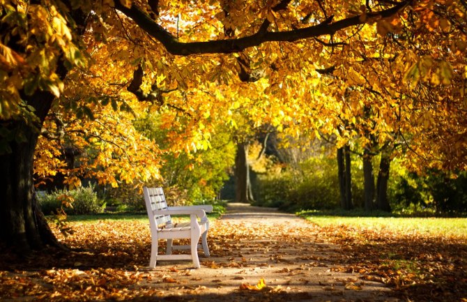 Vraćaju se lijepi dani: Do kraja sedmice biće suvo vrijeme, temperatura u svakodnevnom porastu