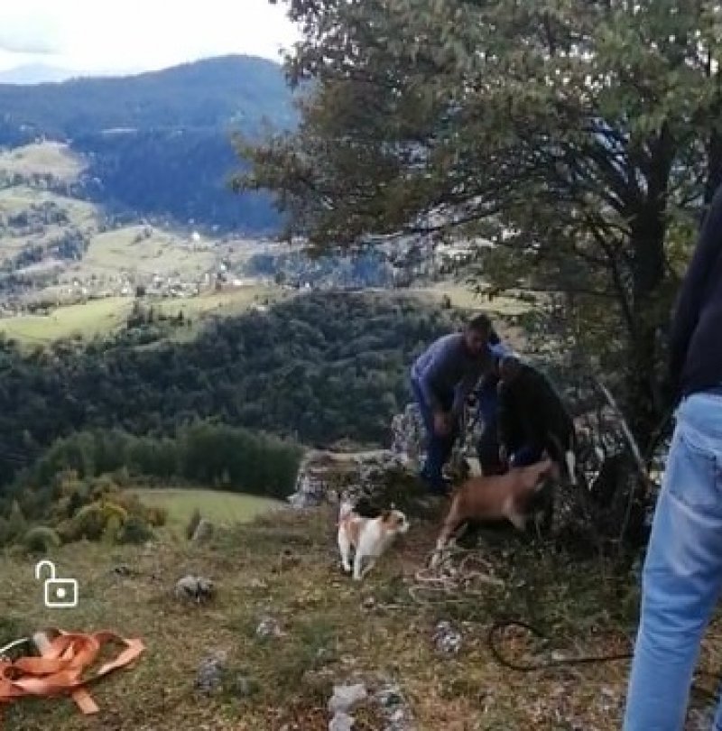 12193514327578282877918838392274539332141878n