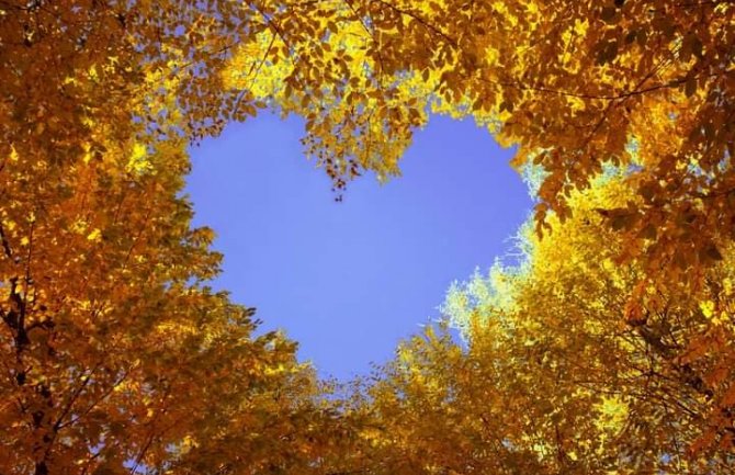 Pretežno sunčano, do 22 stepena