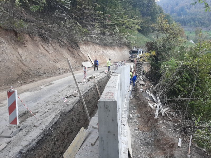 RadovinaputuGubavaBistrica2