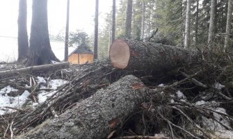 URA: Nova Vlada utvrdiće ko je odgovoran za sistematsko uništavanje šuma 