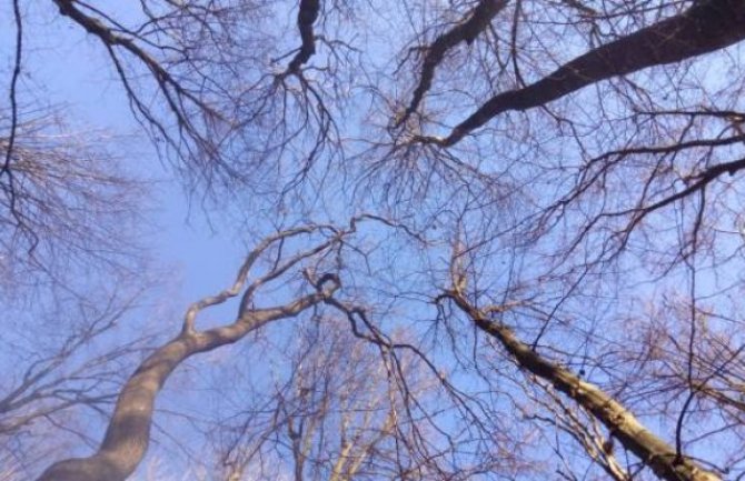 Danas pretežno sunčano, uglavnom suvo vrijeme