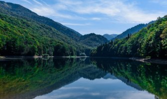 Uhapšene dvije osobe zbog odstrijela jelena dok se za trećom traga