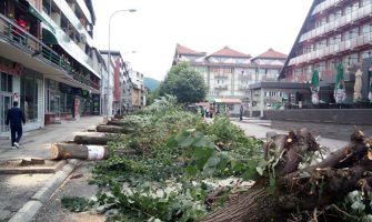 Pljevljaci čekaju skoro godinu dana na novi drvored u glavnoj ulici