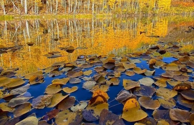 Sunčano i suvo, do 23 stepena
