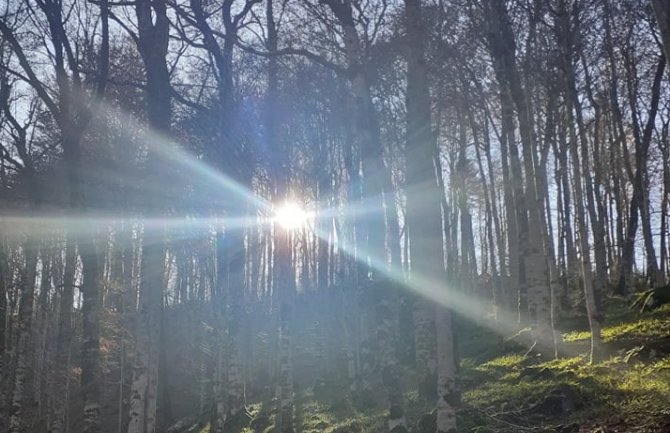 Opštine zbog novog zakona ostaju bez milionskih prihoda?