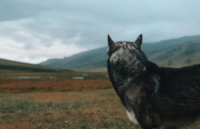 Pretežno sunčano i toplo, do 21 stepen
