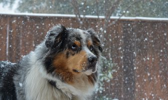 Slab snijeg na sjeveru, jutarnja temperatura i do minus 5