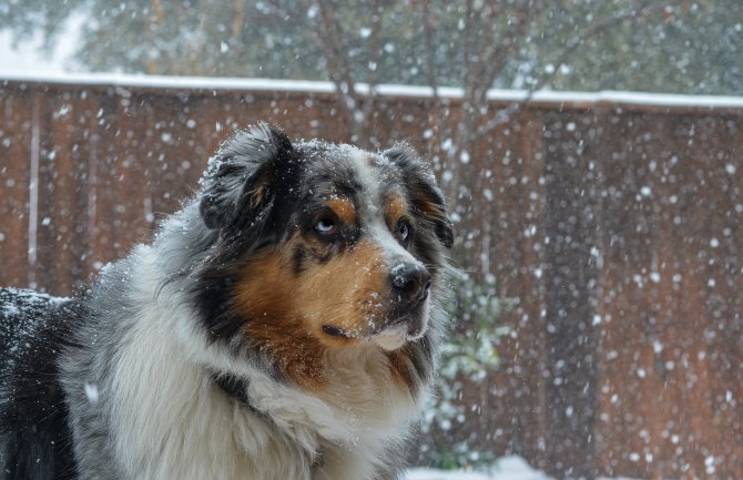 Slab snijeg na sjeveru, jutarnja temperatura i do minus 5