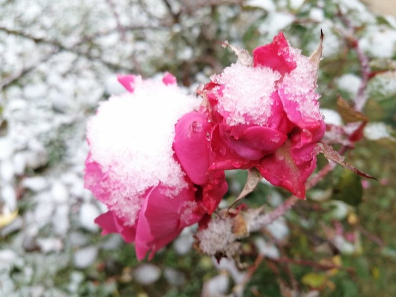 1259795092842904396533327583505047371128056n