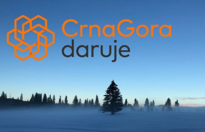 Više od 6 miliona eura donirano u 2019. godini, poslovni sektor najveći donator