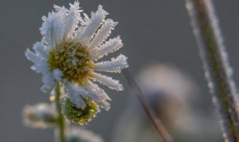 Pretežno sunčano,  u jutarnjim satima i do minus 10 ispod nule