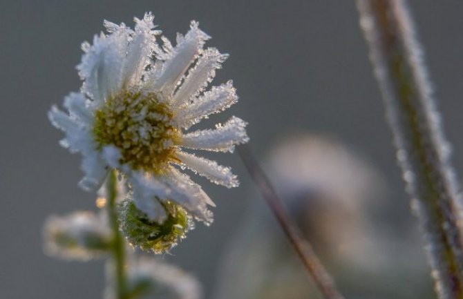 Pretežno sunčano,  u jutarnjim satima i do minus 10 ispod nule