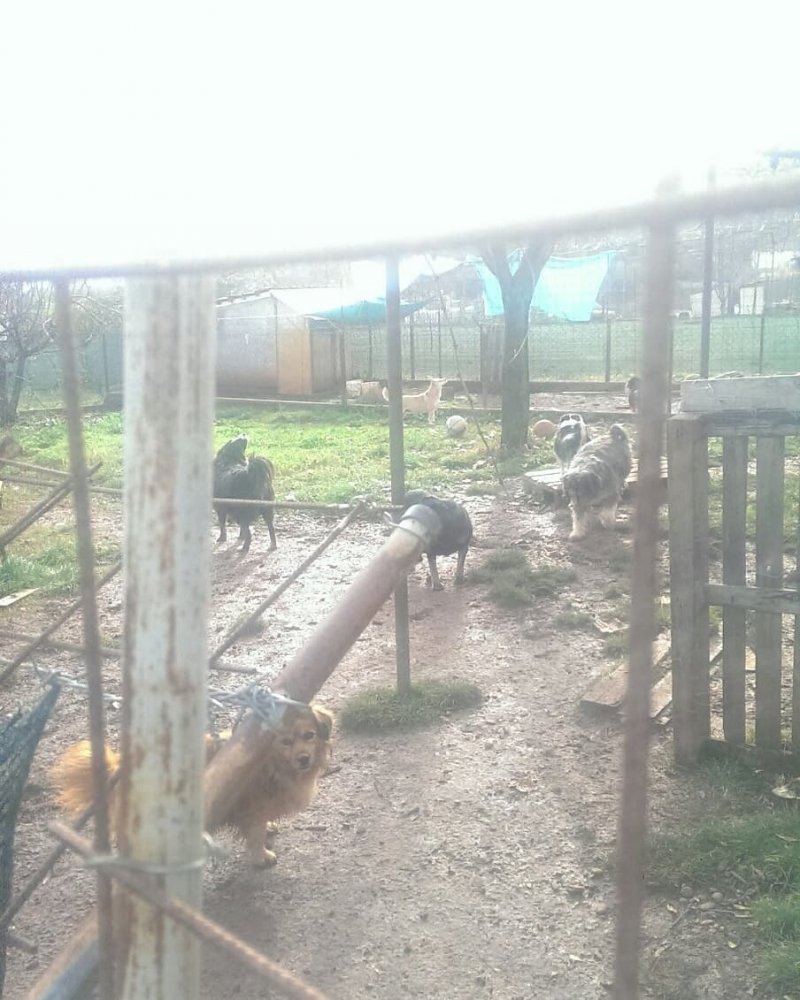 IMG20201207090426825