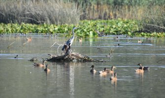 Za unapređenje turističke infrastrukture u NP Skadarsko jezero biće investirano 280.000 eura