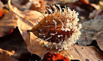 Pretežno oblačno, do 17 stepeni