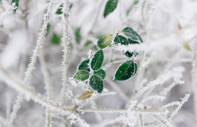 Pretežno oblačno i maglovito,  i do minus 6 stepeni jutarnja temperatura