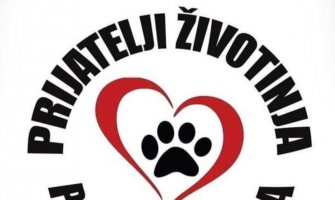 NVO Prijatelji životinja Podgorica slavi 4 godine postojanja: Ponosni smo što nismo odustali