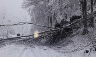 CEDIS: Dio sjevera bio bez struje, ekipe i dalje na terenu (FOTO)