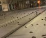Stotine mrtvih životinja prekrilo ulicu nakon vatrometa(VIDEO)