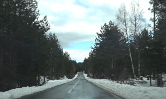 Pronađen obezglavljen srndać na putu MK - Đurđevića Tara