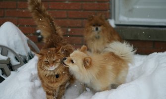 Mjestimično kiša, na sjeveru susnježica i snijeg