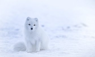 Poslijepodne kiša, na sjeveru snijeg 