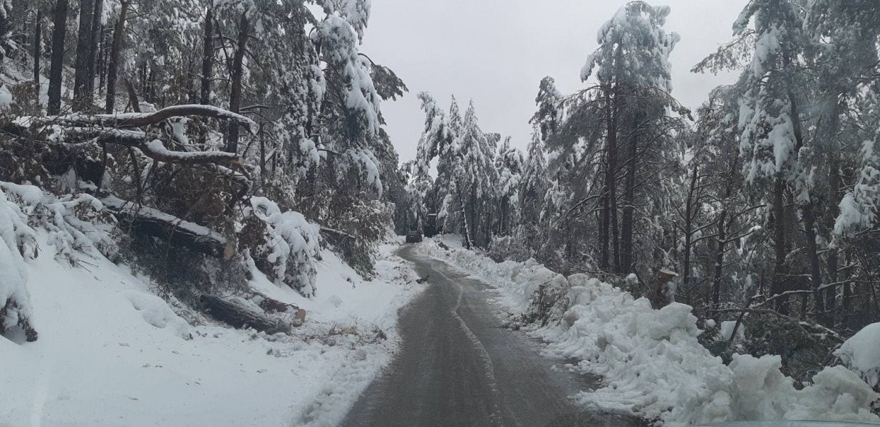 1375693151317292486916693077738263042438920n