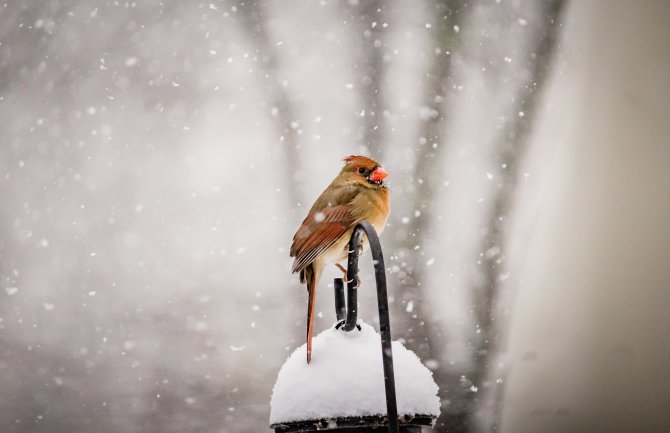Promenljivo oblačno i suvo, do 14 stepeni 
