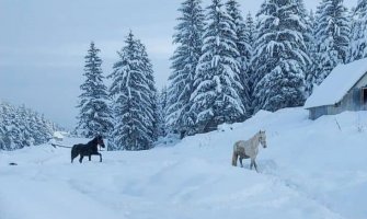 Na Žabljaku metar snijega
