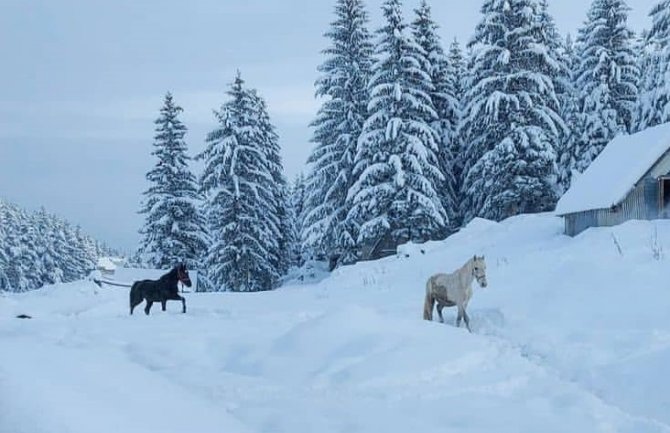 Na Žabljaku metar snijega