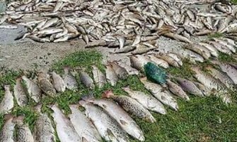 Demokrate Pljevlja: Teška korupcija i izvrtanje činjenica u cilju aboliranja odgovornosti EPCG