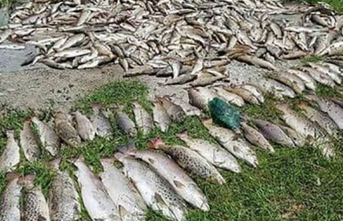 Demokrate Pljevlja: Teška korupcija i izvrtanje činjenica u cilju aboliranja odgovornosti EPCG