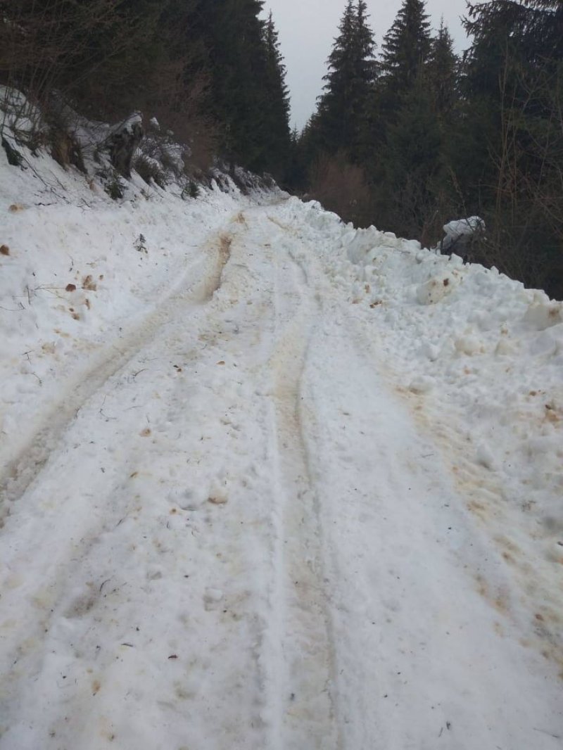 1413440471680803984032728361805358744329428n