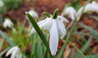 U južnim i centralnim predjelima kiša, na sjeveru suvo